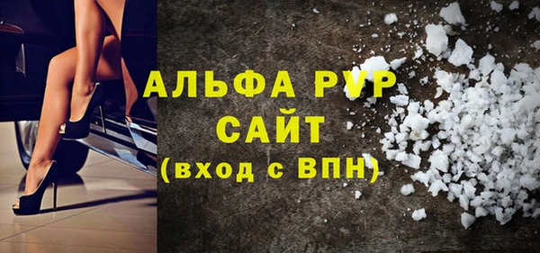 индика Баксан