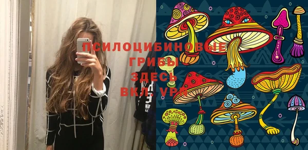 молекула духа Беломорск