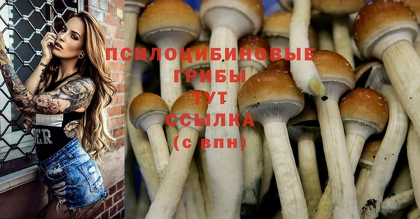 бутират Белоозёрский